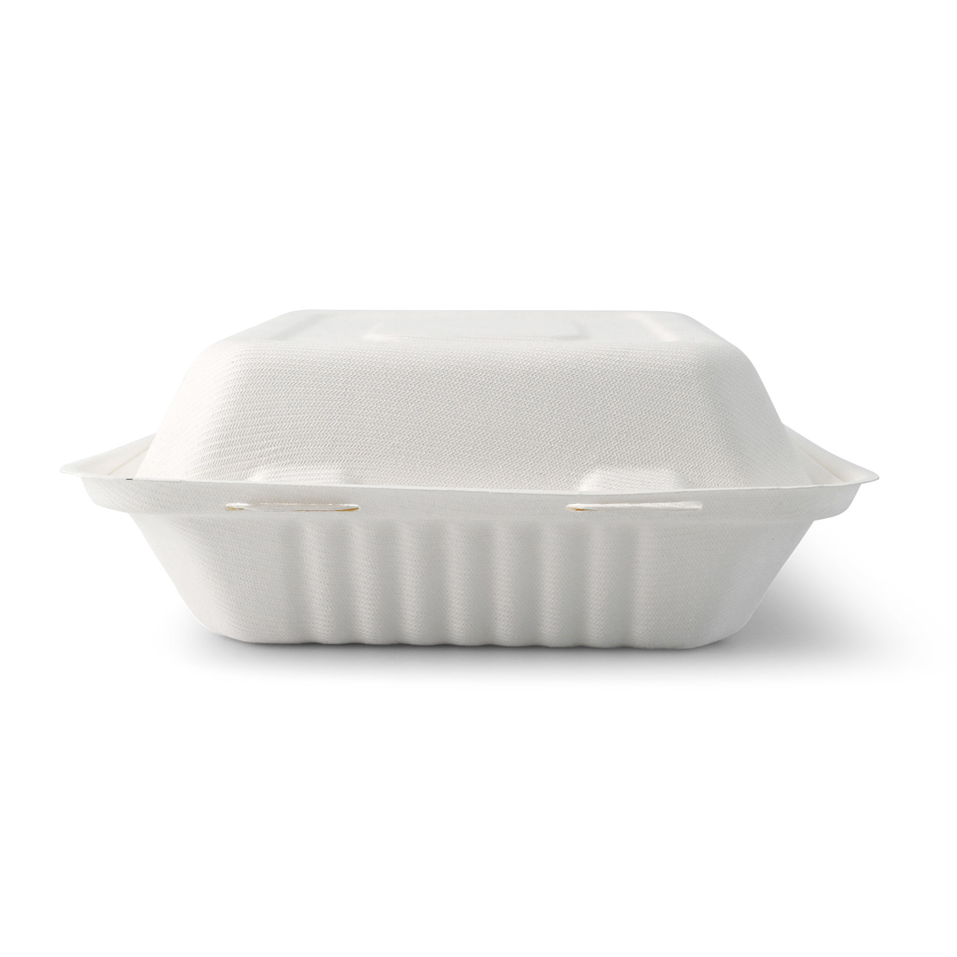 Take-away Boxen aus Zuckerrohr 22 x 18,5 x 7 cm, rechteckig