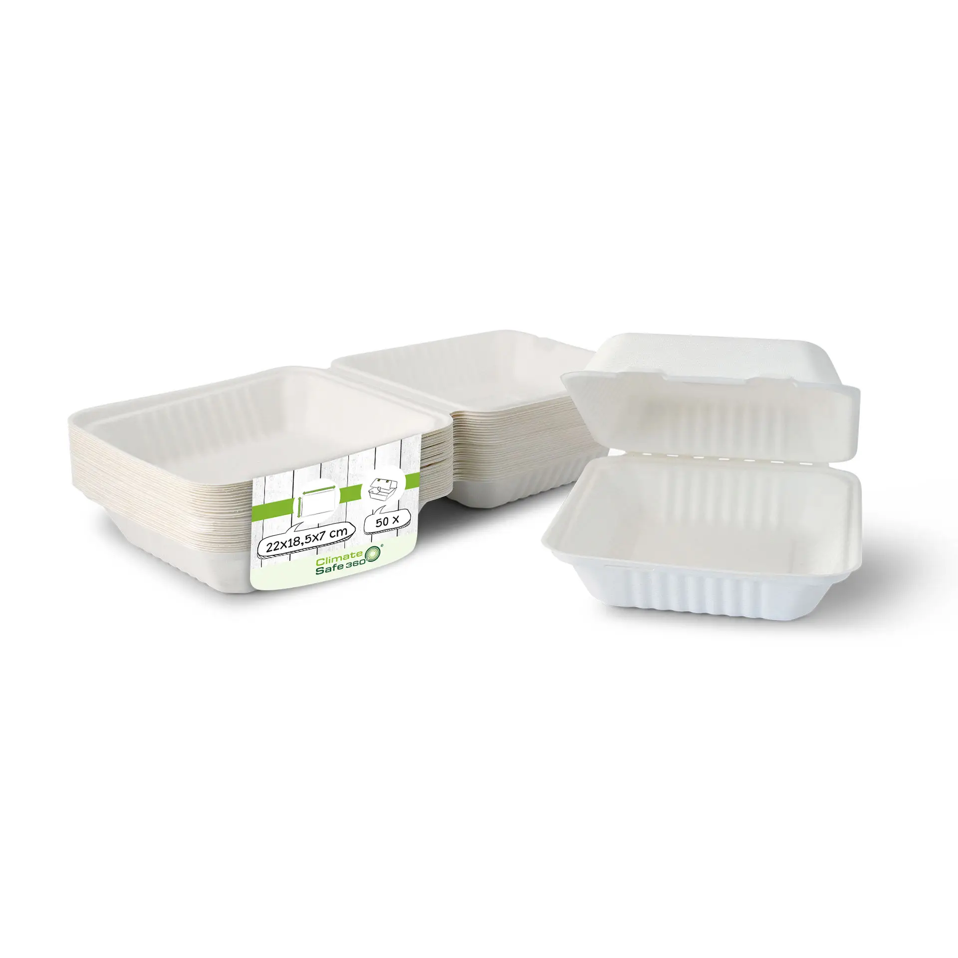 Take-away Boxen aus Zuckerrohr 22 x 18,5 x 7 cm, rechteckig